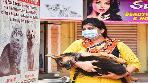 श्वानाच्या मृत्यूने `आई`ला दुःख