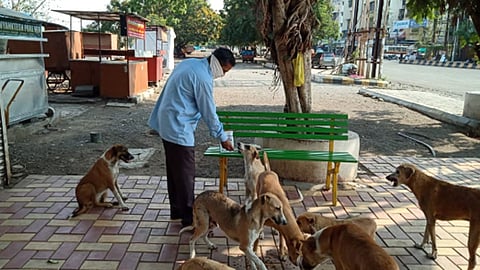 dog-lover