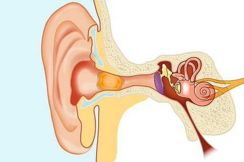 Nagpur news You also have the problem of ear wax blockage Read its symptoms and treatment