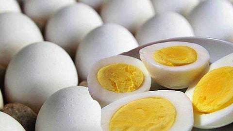 eggs.jpg