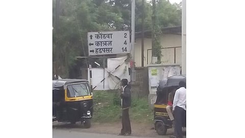 falak.jpg