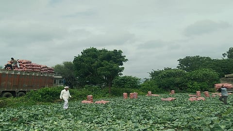  farm2.jpg