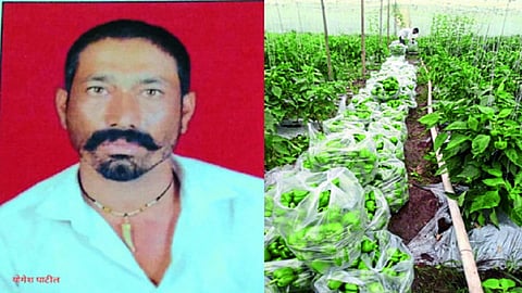 farmer abhona.jpg