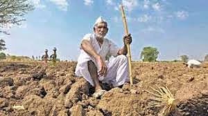 farmer.jpg