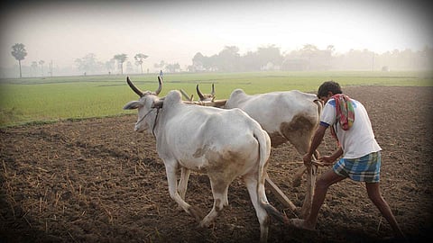 'किसान सन्मान'साठी शेतकऱ्यांची पिळवणूक; फलटणमधून अनेक तक्रारी