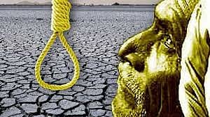 253 farmers committed to suicide in eleventh months in amravati 