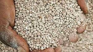 fertilizer.jpg