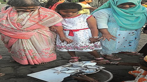 अलिबाग : पापलेट माशांचे भाव घसरले आहेत. 