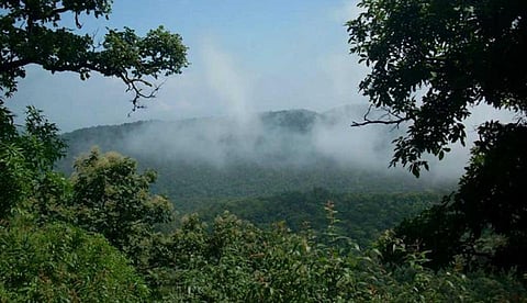 Only a few percent completed, National Green Arbitration will be fined!