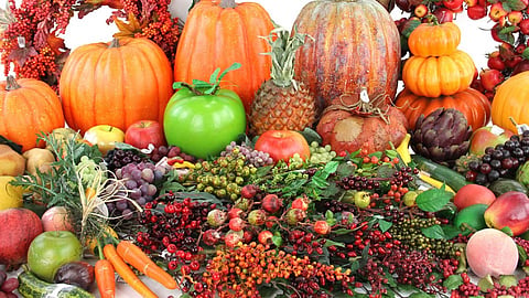 fruits