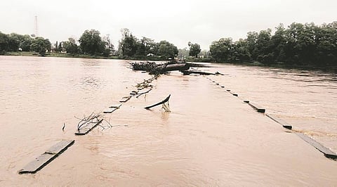 gadchiroli-rains-