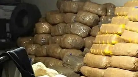 ganja