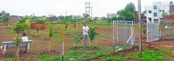 garden.png