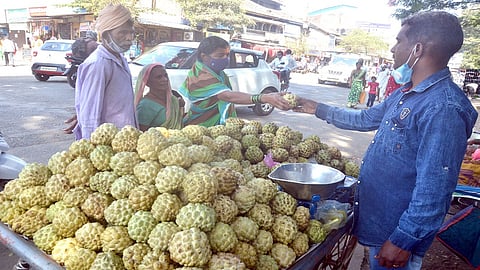 Arrival Of Golden Custard Apple At Gadhinglaj Kolhapur Marathi News