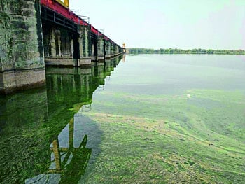 hatnur dam