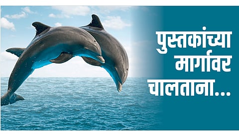 पुस्तकांच्या मार्गावर चालताना...