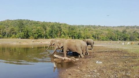 kamalapur