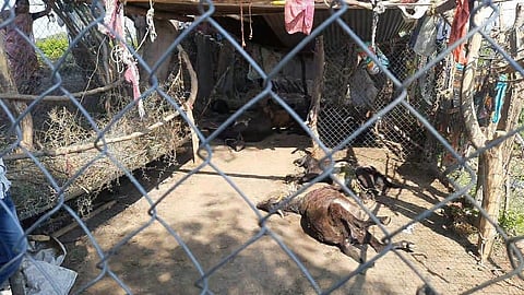karanjgaon.jpg