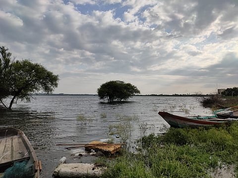 ketuur