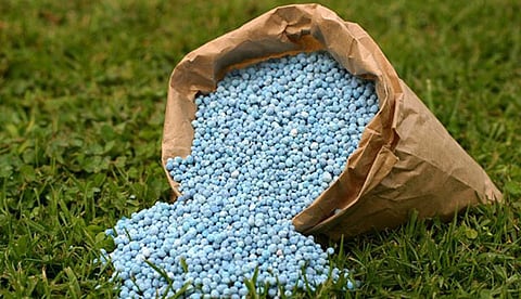akola buldana Thirteenth month of drought caused by the price of chemical fertilizers