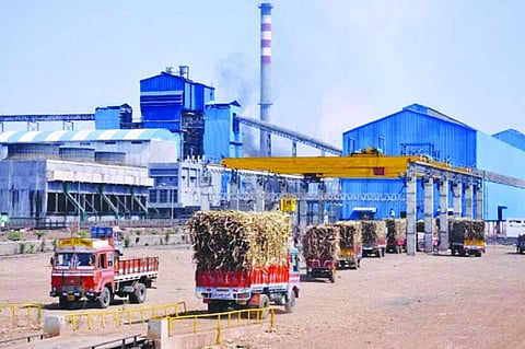 shugar factory