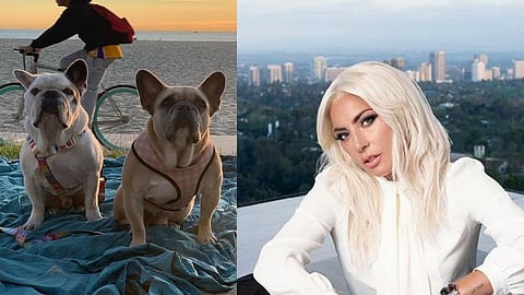 lady gaga