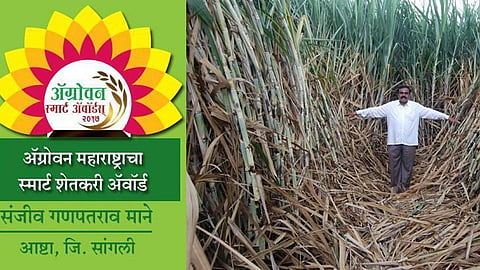 Sanjiv Mane