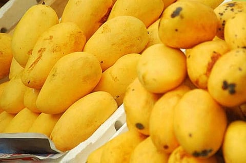 Climate change will make mango sweets more expensive