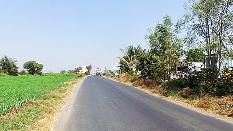 manjari1.jpg