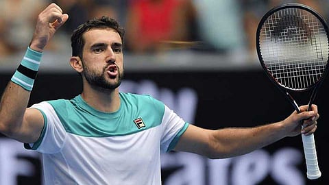 tenis star news