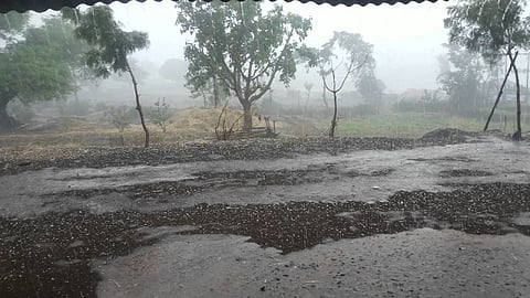 farmers may face disadvantage of bad weather again 
