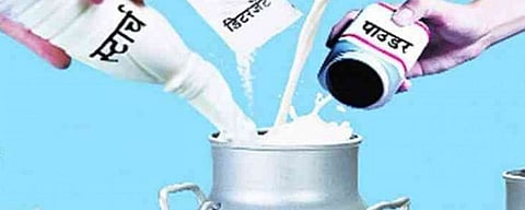 adlturation in milk find in sangali district