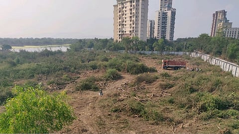 दोन दिवसांत त्यांनी संपवले 500...; त्याचं अस्तित्वचं मिटवलं...