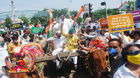 नांदेड - काँग्रेस पक्षातर्फे नांदेडला शुक्रवारी प्रतीकात्मक बैलगाडी लाँगमार्च काढण्यात आला. 