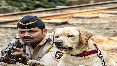 ...म्हणून देखील मुंबई पोलिस आहेत एक नंबर ! बातमी वाचा, प्रतिक्रिया द्या...  