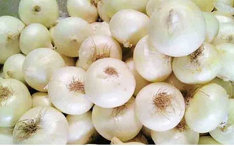 onion rates increases due to rain 