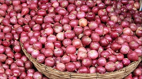stir against onion export duty increase procurement centres maharashtra cm eknath shinde tells union government