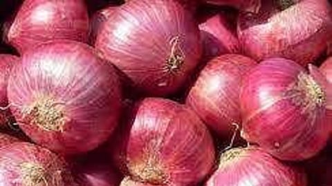onion.jpg