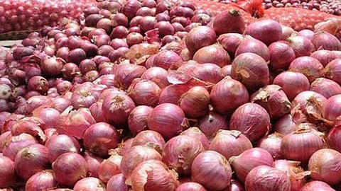 onion.jpg