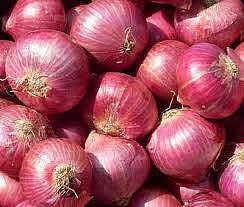 onion.jpg