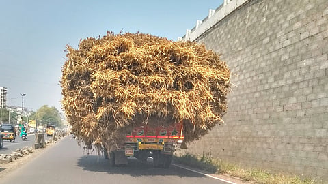 overloed-truck.jpg
