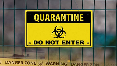 qwantine logo 2.jpg