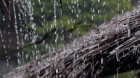 rain