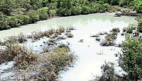 dumped chemicals in Jambi river