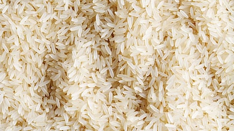 Supply of rice only to students