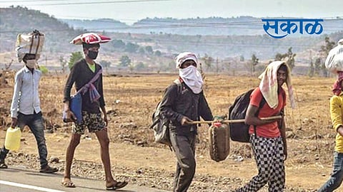 chikhaldara taluka ranks first in employment in state  