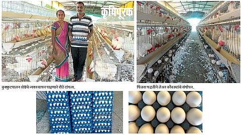लेअर कुक्कुटपालनातून मिळवली आर्थिक सक्षमता  
