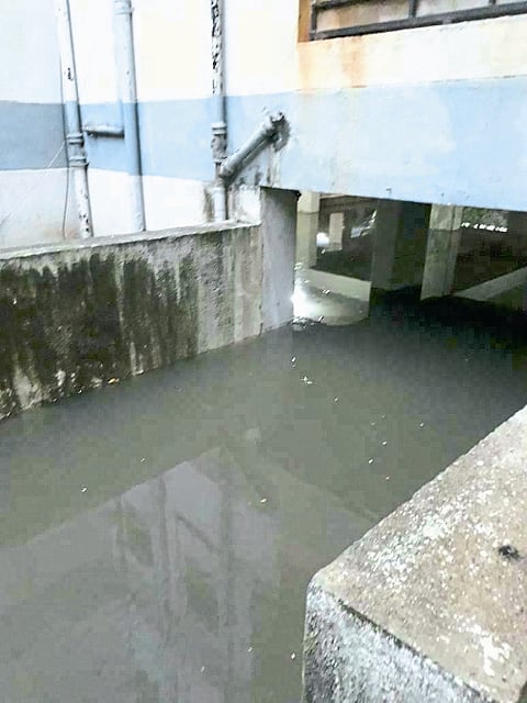 rupali1.JPG