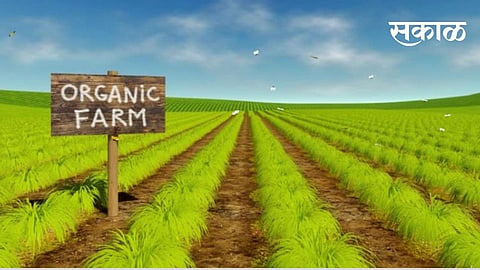 Establishment of 2200 Agricultural Producers Associations in the country this year