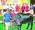 The need for organic farming time